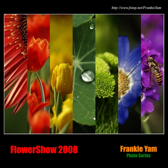 香港花卉展覽 2008