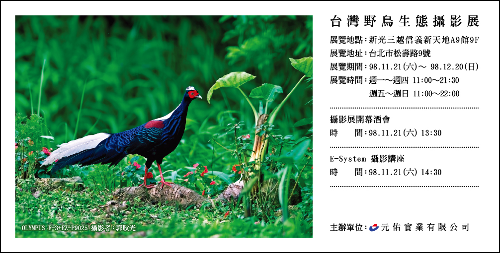 2009年台灣野鳥生態攝影展(一)
