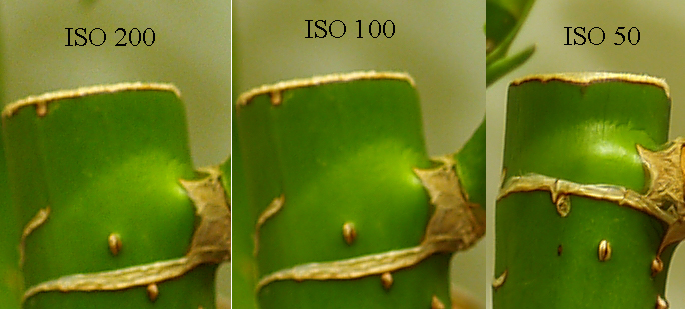 E300 ISO 50 LdB(@)
