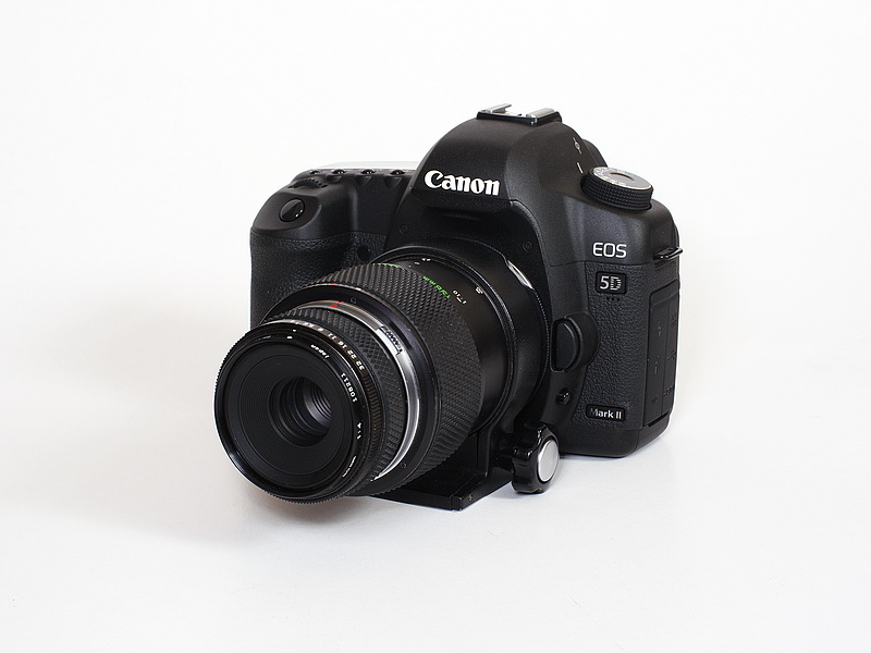 OLYMPUS OM ZUIKO AUTO-MACRO 80mm F4轉接到Canon 5D II