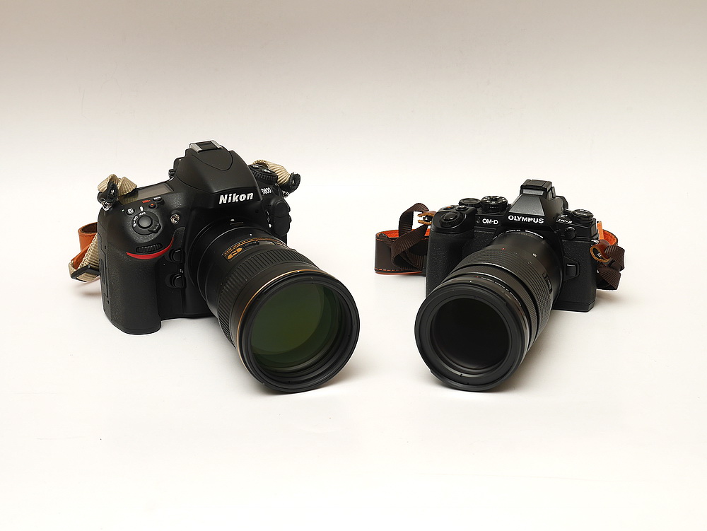  Nikon AF-S 300mm F4 PF ED VR with D800 versus OLYMPUS M.ZD 40-150mm F2.8 Pro