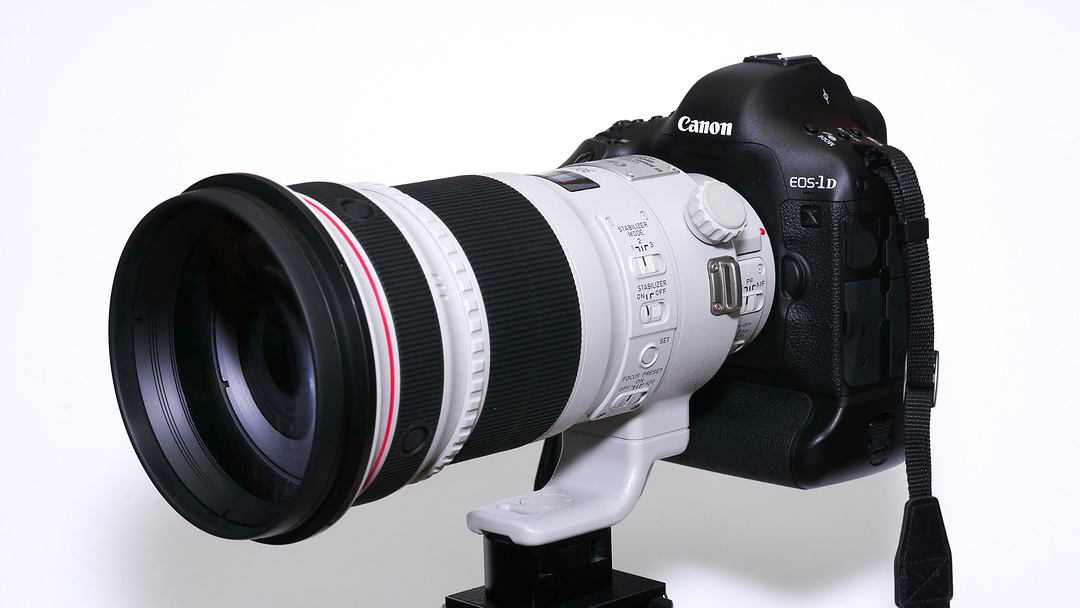 Canon EOS 1DX with EF 300mm F2.8L IS II USM