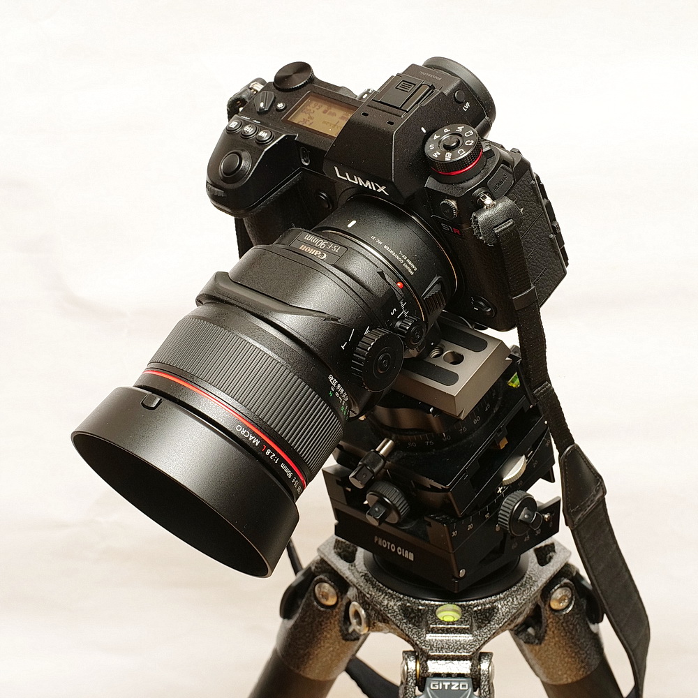 Panasonic LUMIX S1R with SIGMA MC-21(EF-L) & Canon TS-E 90mm F2.8 L MACRO