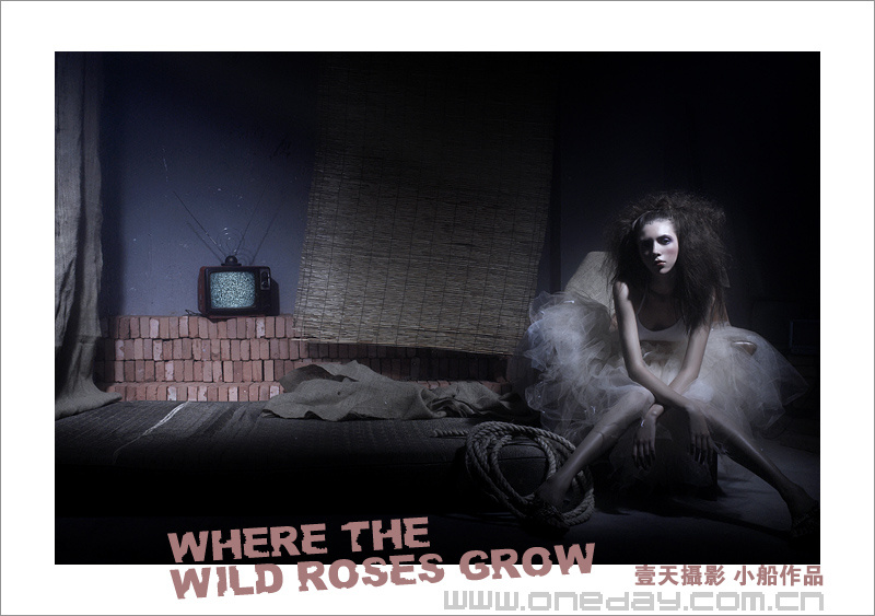 Where The Wild Roses Grow(G^